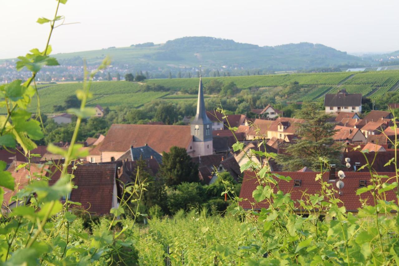 A L'Oree Des Vignes, Superbe Logement De 80 M2 Wangen Exteriör bild